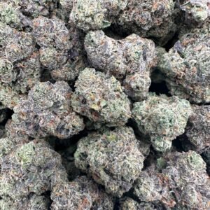 GUMBALAYA (LICENSED ZA)